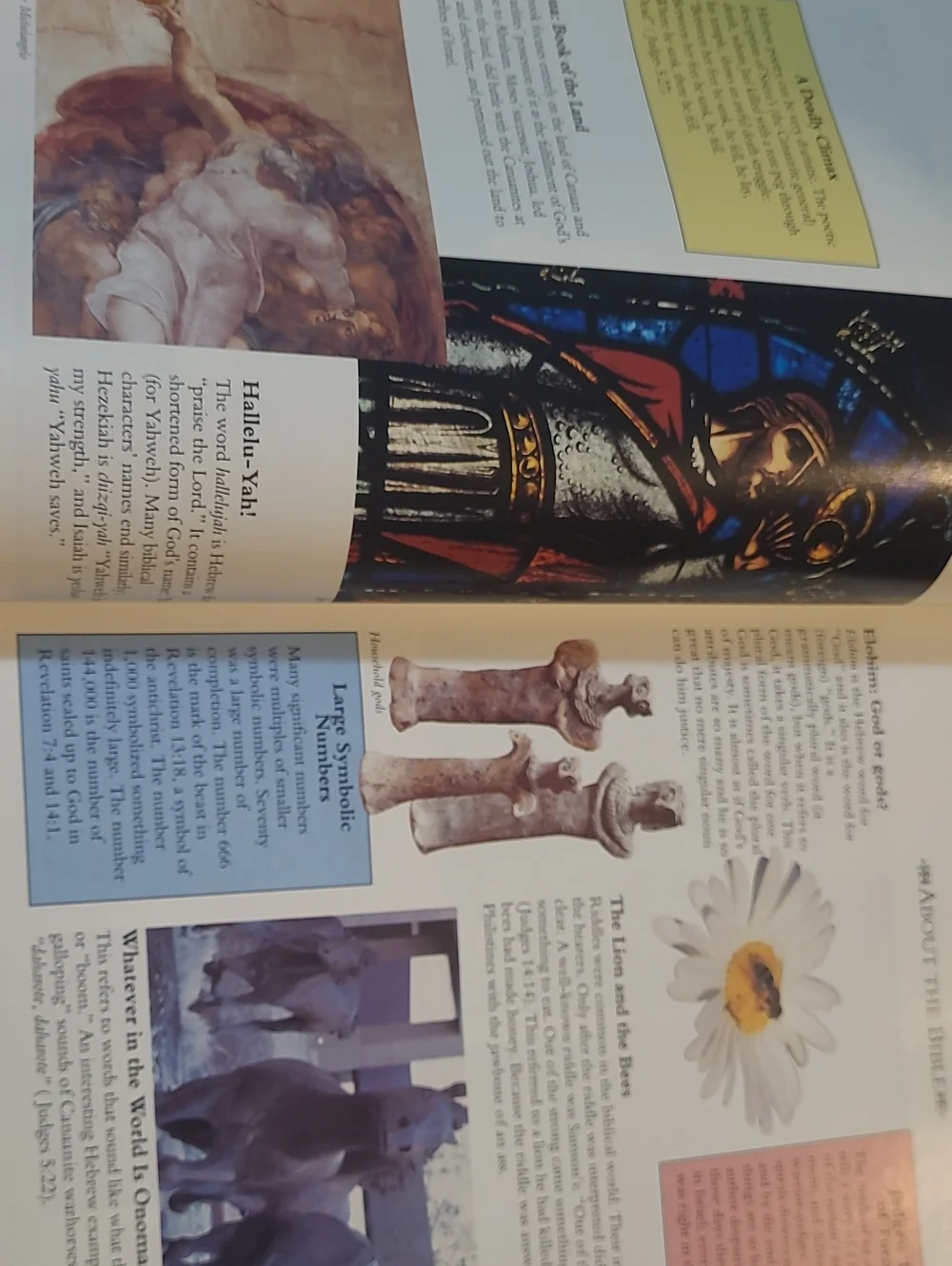 Fascinating Bible Facts Hardcover Book - Cream